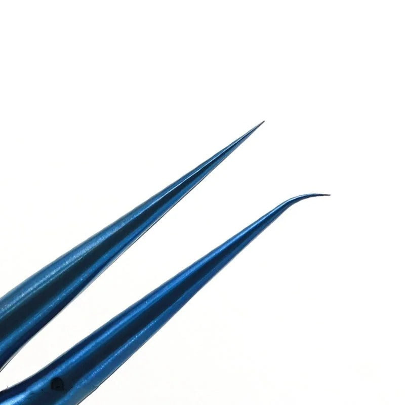 main-image-5