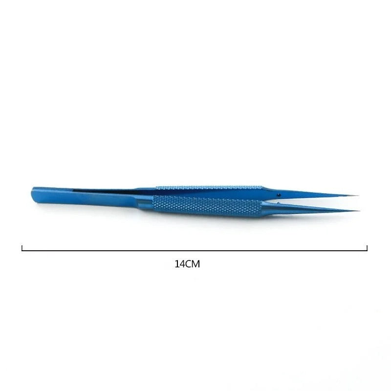 main-image-6